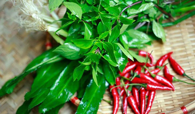 Tìm hiểu các loại rau thơm, rau gia vị trong ẩm thực Việt Nam